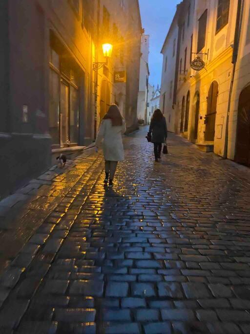 Unesco 14 Century Český Krumlov Exteriér fotografie